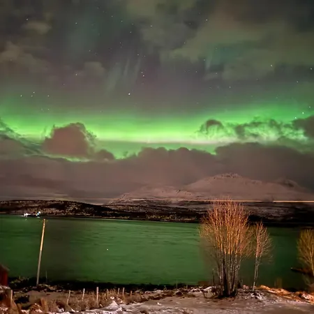 Arctic View - Country Retreat Near Appartement