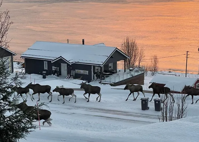 Arctic View - Country Retreat Near Tromsø
